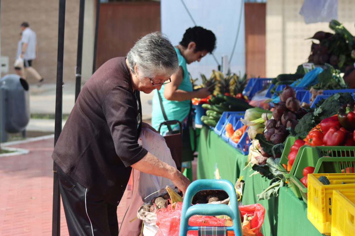 Feria de alimentos seguros y saludables en el parque Residencial Callao